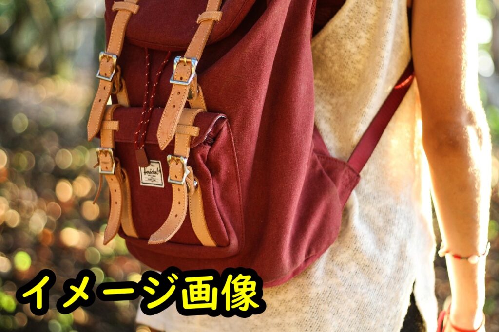 ボドゲ収納バッグ